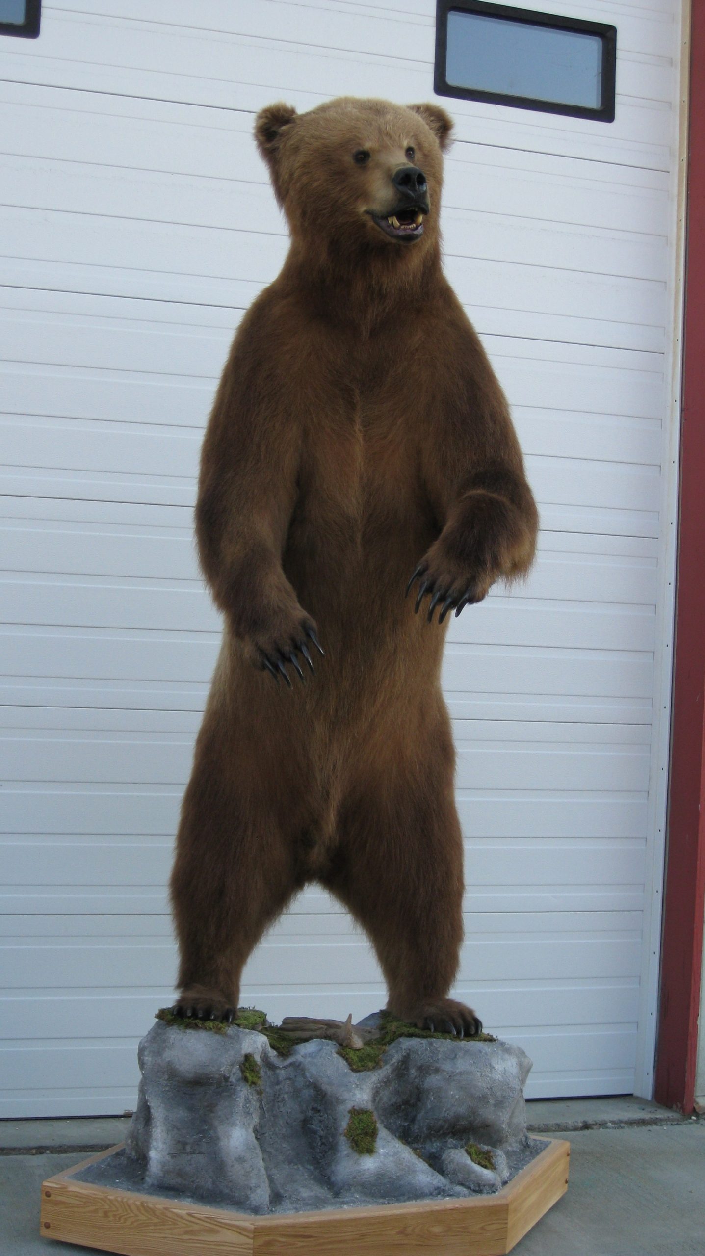 Kodiak 10′ Robinette