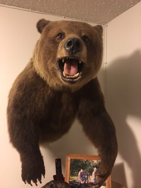 Dave Sponsel/3/4 Grizzly